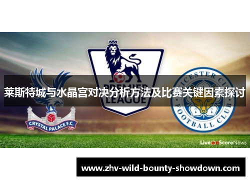 莱斯特城与水晶宫对决分析方法及比赛关键因素探讨
