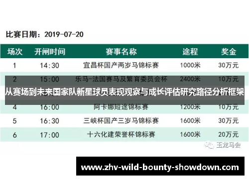 从赛场到未来国家队新星球员表现观察与成长评估研究路径分析框架