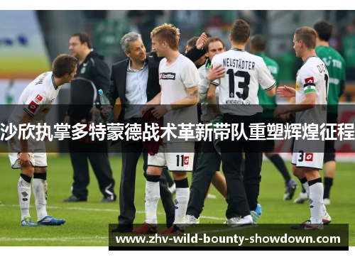 沙欣执掌多特蒙德战术革新带队重塑辉煌征程 沙欣执掌多特蒙德战术革新带队重塑辉煌征程